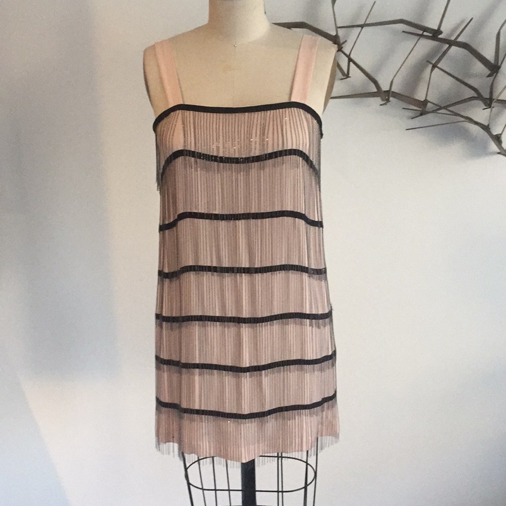 Karen Zambos flapper Dress